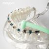 3 Pieces Orthodontic Tuft Toothbrush